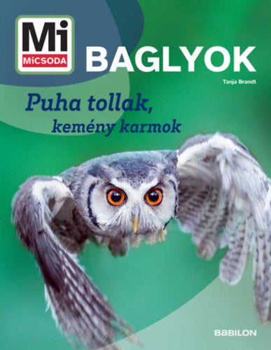 Baglyok - Mi MICSODA ÚJ