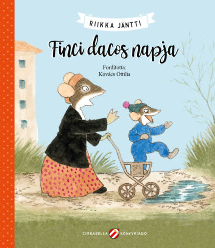 Finci dacos napja
