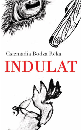 Indulat