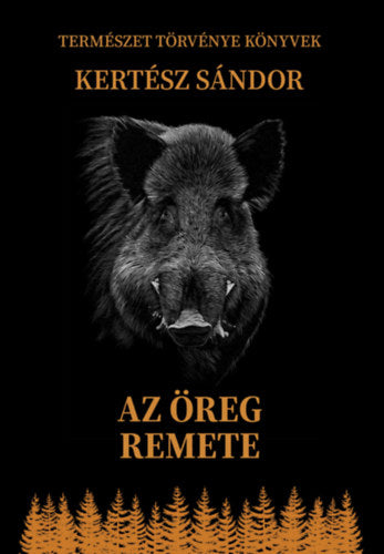 Az öreg remete