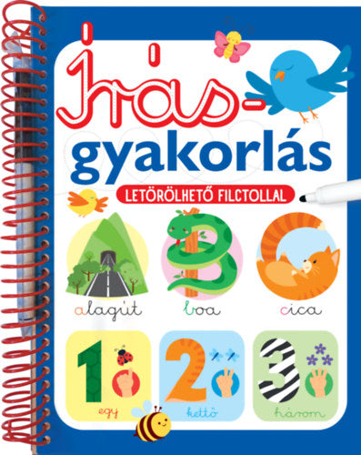 Írásgyakorlás - Letörölhető filctollal