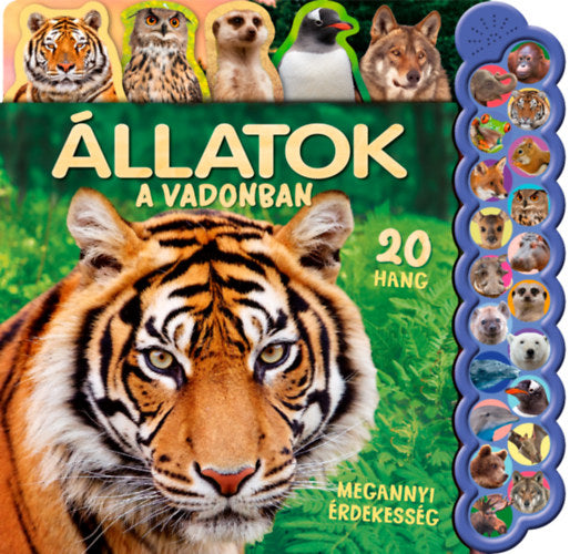 20 hang - Állatok a vadonban