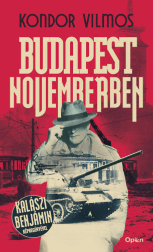 Budapest novemberben