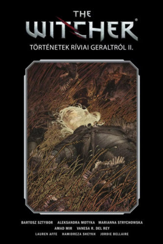 The Witcher / Vaják: Történetek Ríviai Geraltról II.