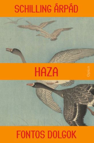Haza