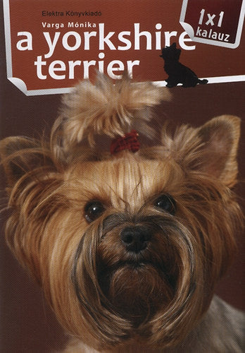 A yorkshire terrier - 1x1 kalauz