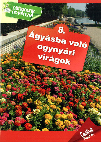 Ágyásba való egynyári virágok