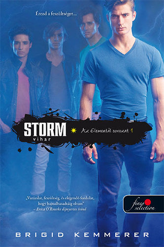 Storm - Vihar - Brigid Kemmerer