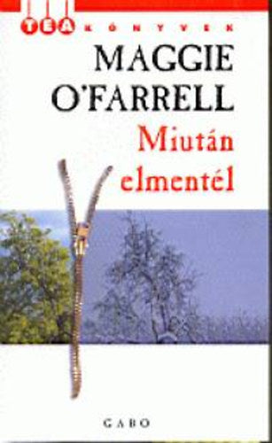 Miután elmentél