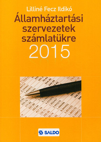 Államháztartási szervezetek számlatükre 2015 - Lilliné Fecz Ildikó