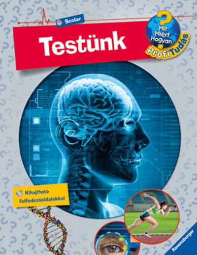Testünk