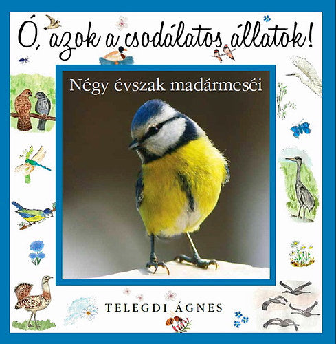 Ó, azok a csodálatos állatok - Négy évszak madármeséi