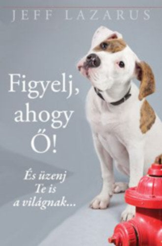 Figyelj, ahogy Ő! - Jeff Lazarus