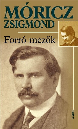 Forró mezők - Móricz Zsigmond