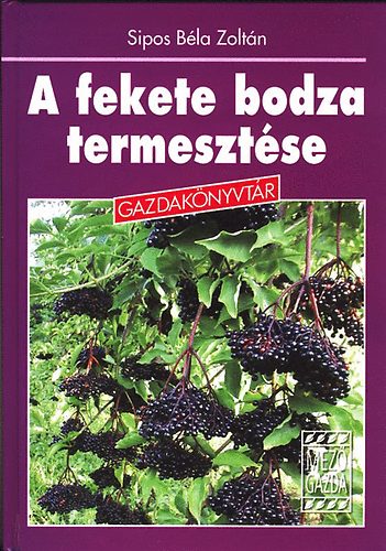 A fekete bodza termesztése