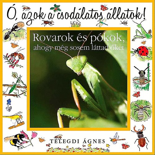 Ó azok a csodálatos állatok! - Rovarok és pókok, ahogy még sosem láttad őket