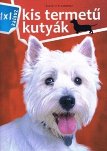 Kis termetű kutyák