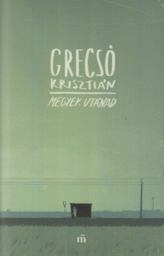 Megyek utánad