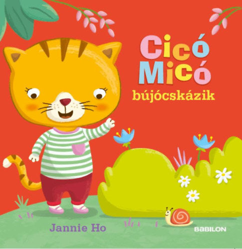 Cicó Micó bújócskázik