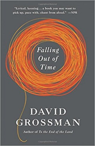 Falling Out of Time - David Grossman