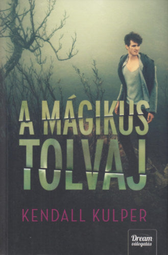 A mágikus tolvaj