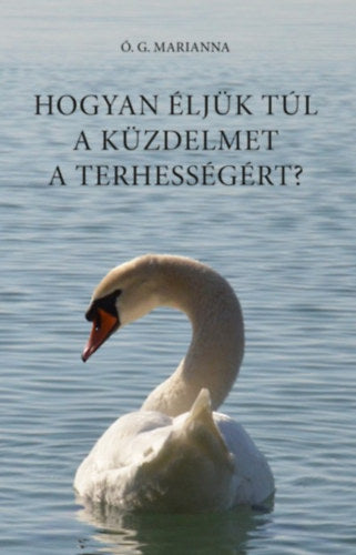 Hogyan éljük túl a küzdelmet a terhességért? - Ó.G. Marianna
