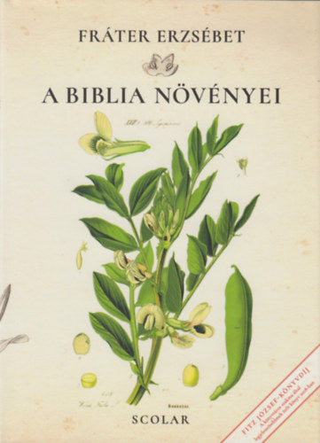 A Biblia növényei - Fráter Erzsébet