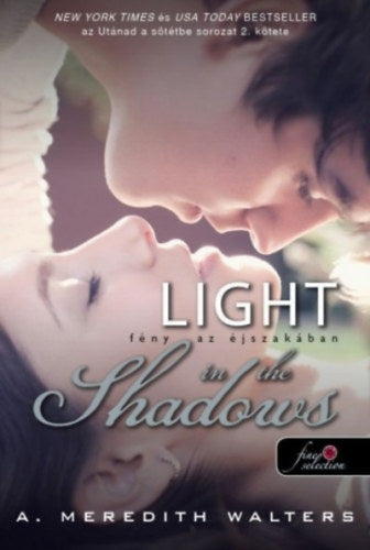 Light in the Shadows - Fény az éjszakában - A. Meredith Walters