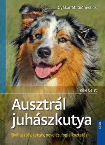 Ausztrál juhászkutya - Rike Geist