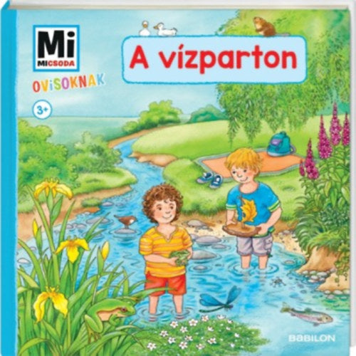 Mi Micsoda Ovisoknak - A vízparton - 