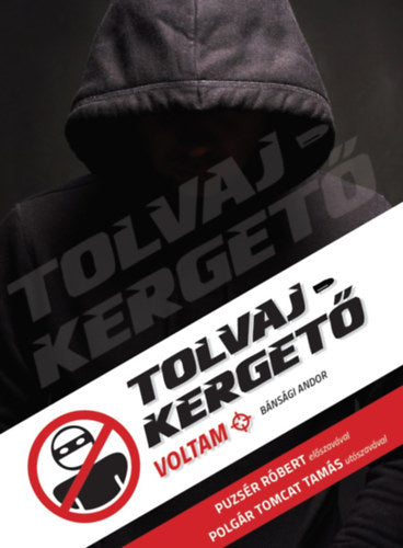 Tolvajkergető voltam