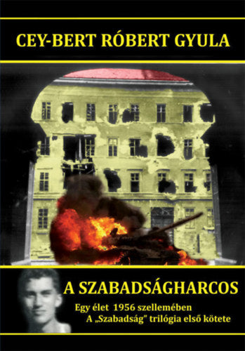 A szabadságharcos
