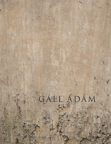 Eltűnésmintázatok - Gáll Ádám