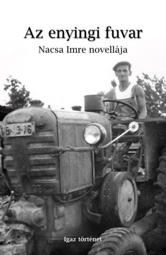 Az enyingi fuvar - Nacsa Imre