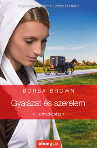 Gyalázat és szerelem - Borsa Brown