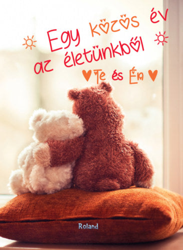 Te és Én - Egy közös év az életünkből (macis borító) - 