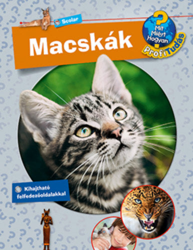 Macskák - Andrea Schwendemann