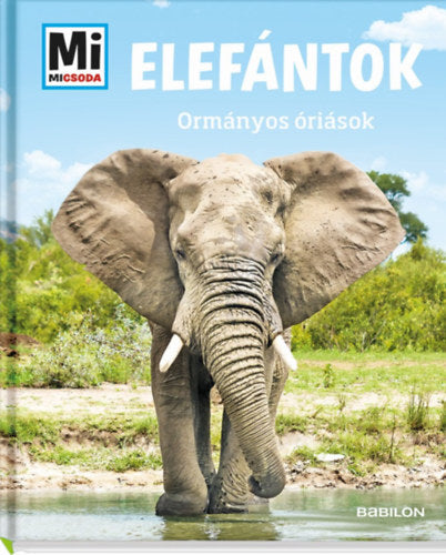 Elefántok - Ormányos óriások - Weller-essers, Andrea