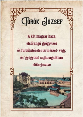 A két magyar haza elsőrangú gyógyvizei és fürdőintézetei természet- vegy, és gyógytani sajátságaikban előterjesztve - Török József