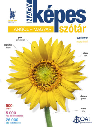 Nagy képes angol-magyar szótár - 
