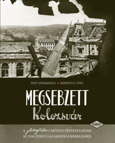 Megsebzett Kolozsvár - Papp Annamária, Rohonyi D. Iván