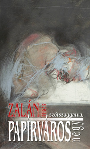 Papírváros - Egy lassúdad regény, négy, szétszaggatva