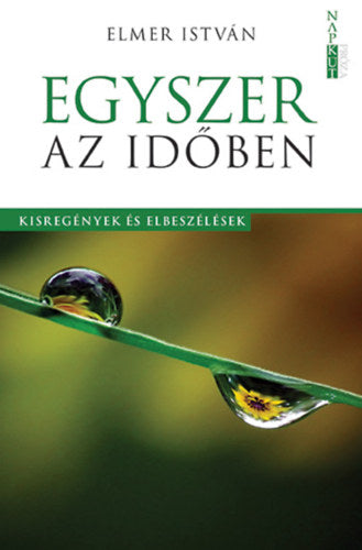 Egyszer az időben - Elmer István