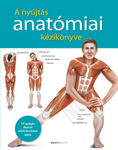 A nyújtás anatómiai kézikönyve - 