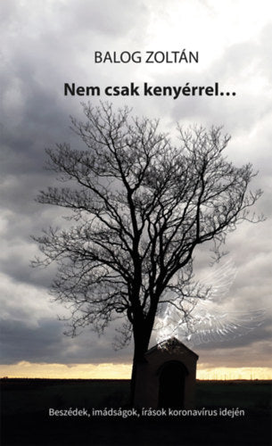 Nem csak kenyérrel... - Balog Zoltán