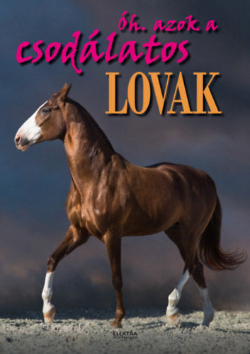 Óh. azok a csodálatos lovak - Bernáth István