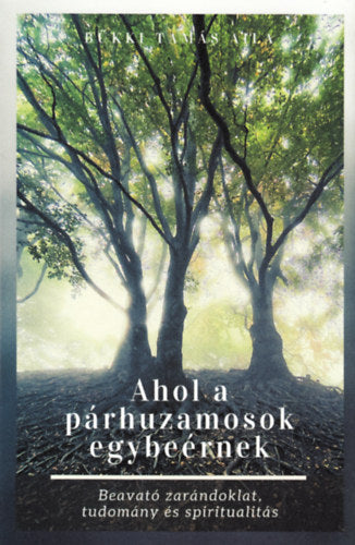Ahol a párhuzamosok egybeérnek - Bükki Tamás Aila