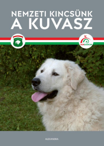 Nemzeti kincsünk a kuvasz - 
