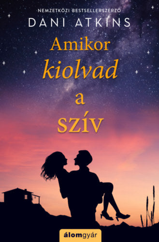 Amikor kiolvad a szív - Dani Atkins