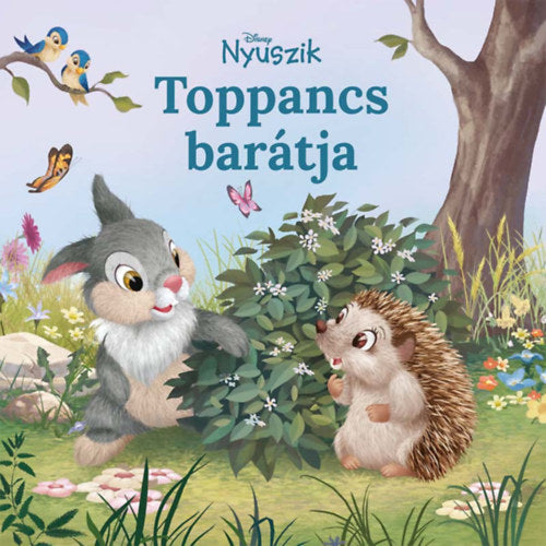 Disney Nyuszik - Toppancs barátja - 